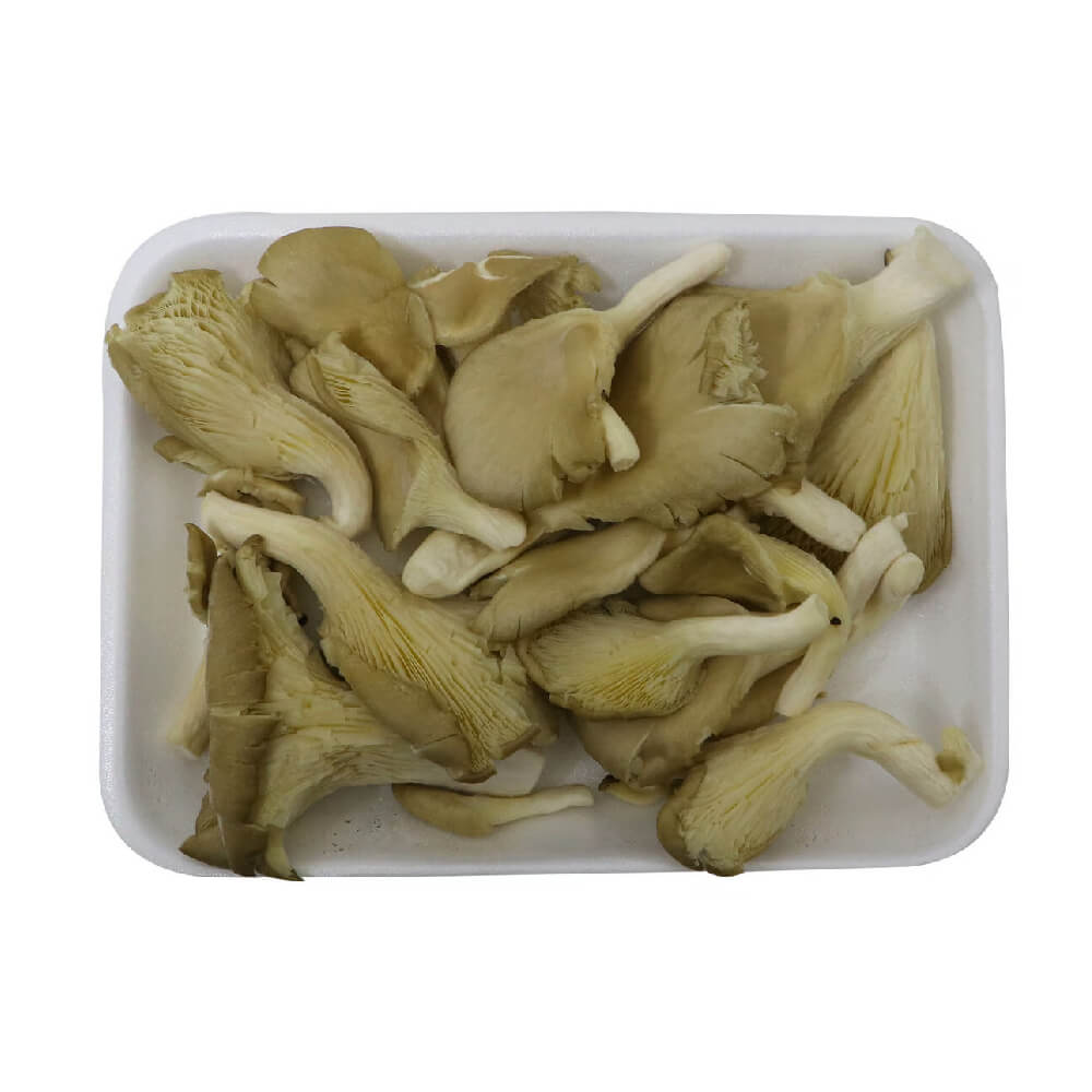 Mushroom Oyster China 200g Pack