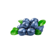 Blueberry Turkey 125g Pack
