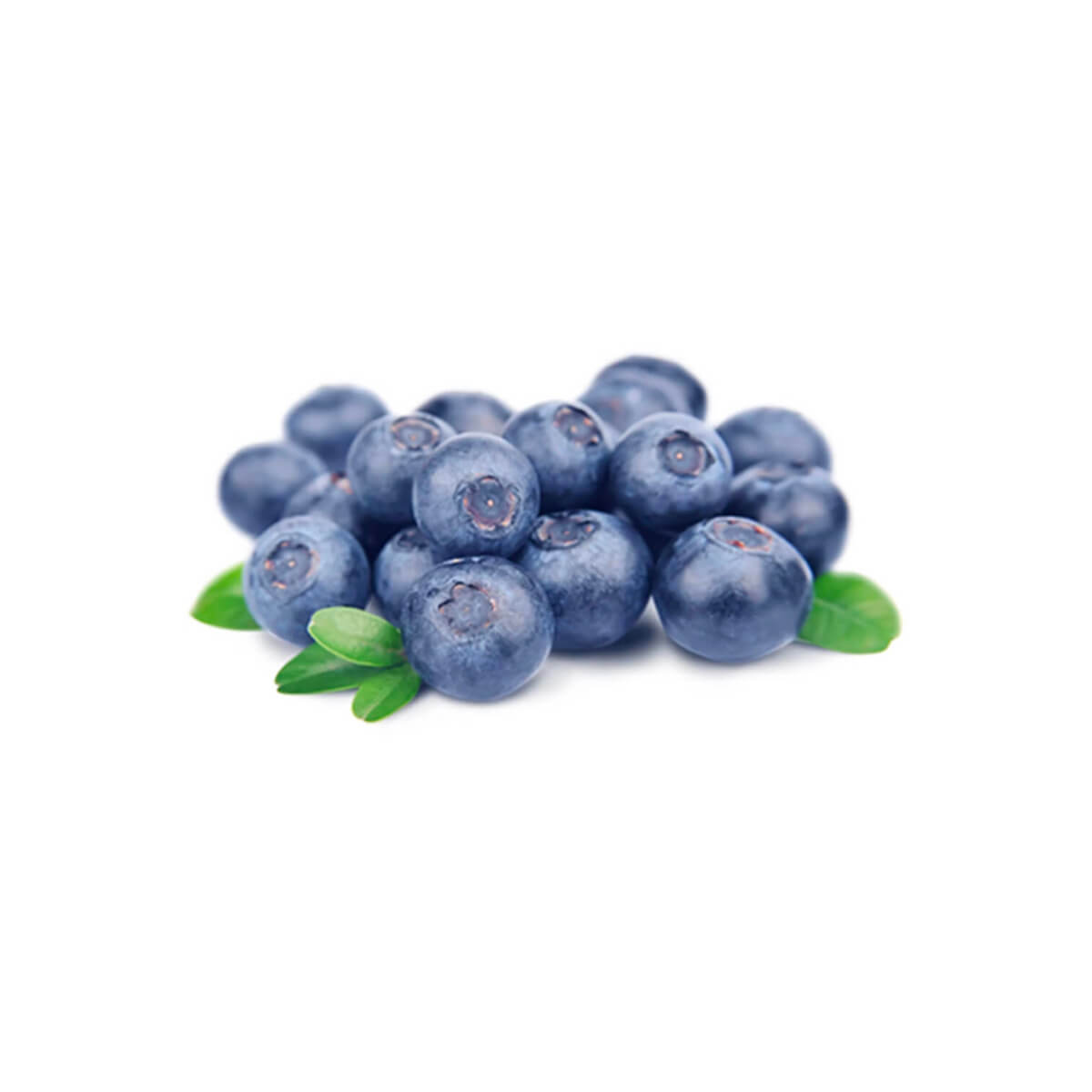 Blueberries Poland 125g Pack