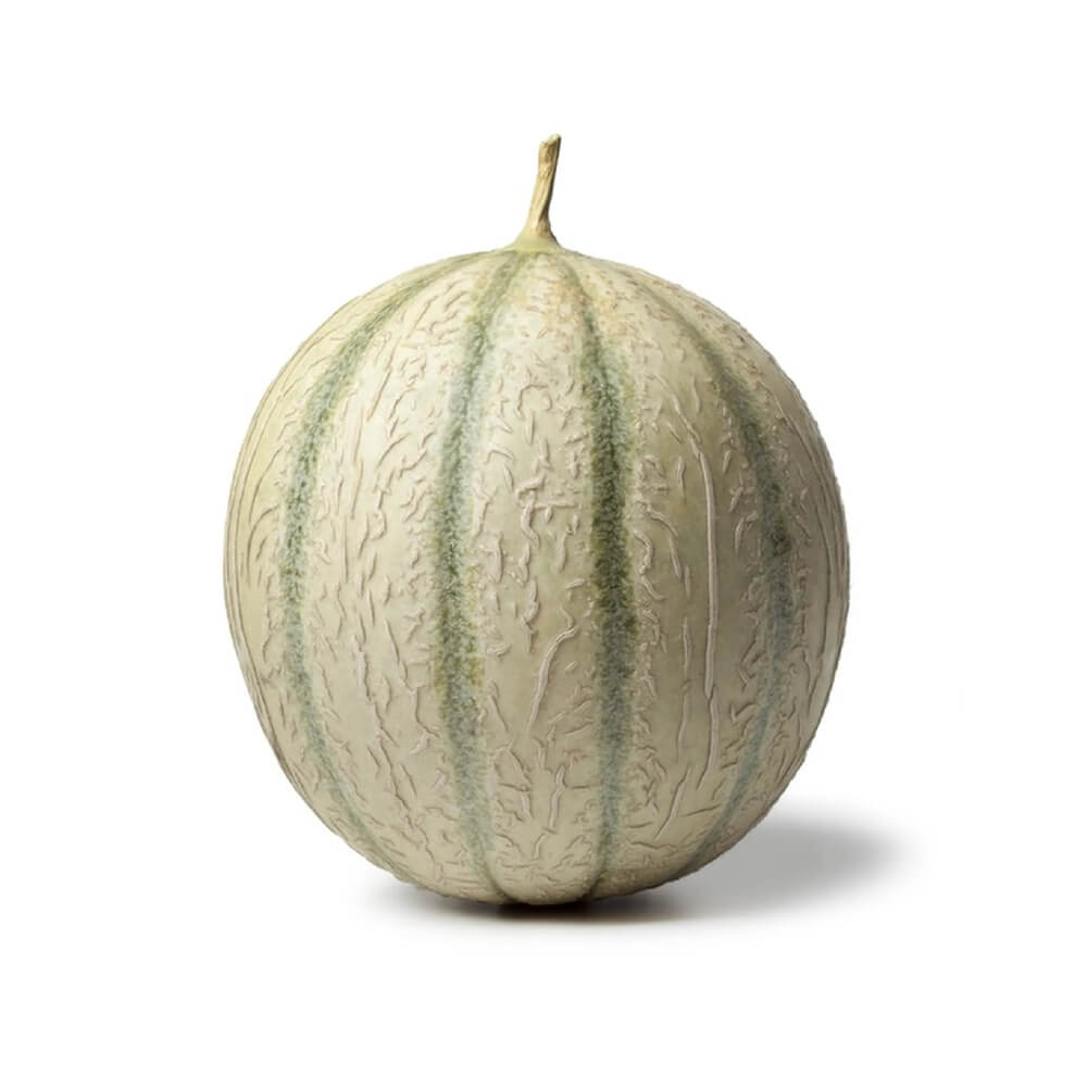 French Melon France 1-1.5Kg Piece