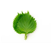Shiso Leaves Green Uae 8-10 Pieces