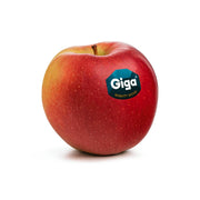 Apple Giga South Africa 500g