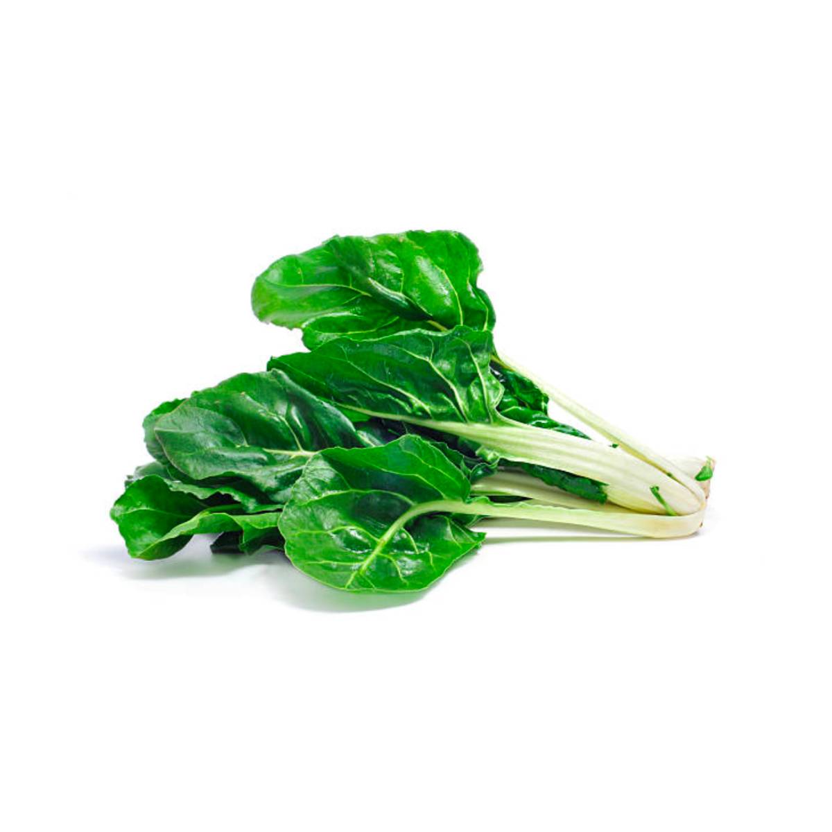 Fresh Chard Lebanon 250g