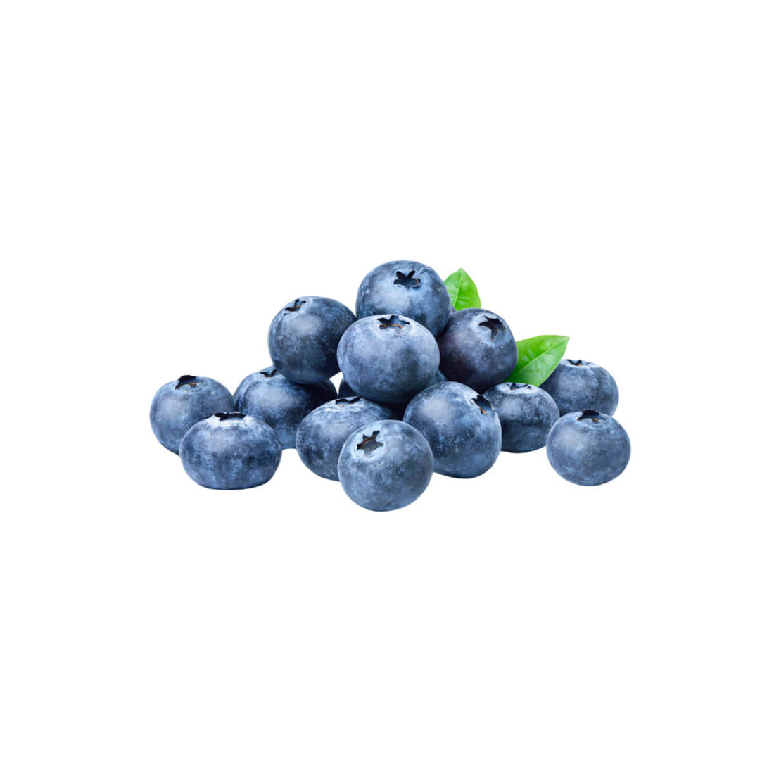 Blueberry Organic Netherland 125g Pack