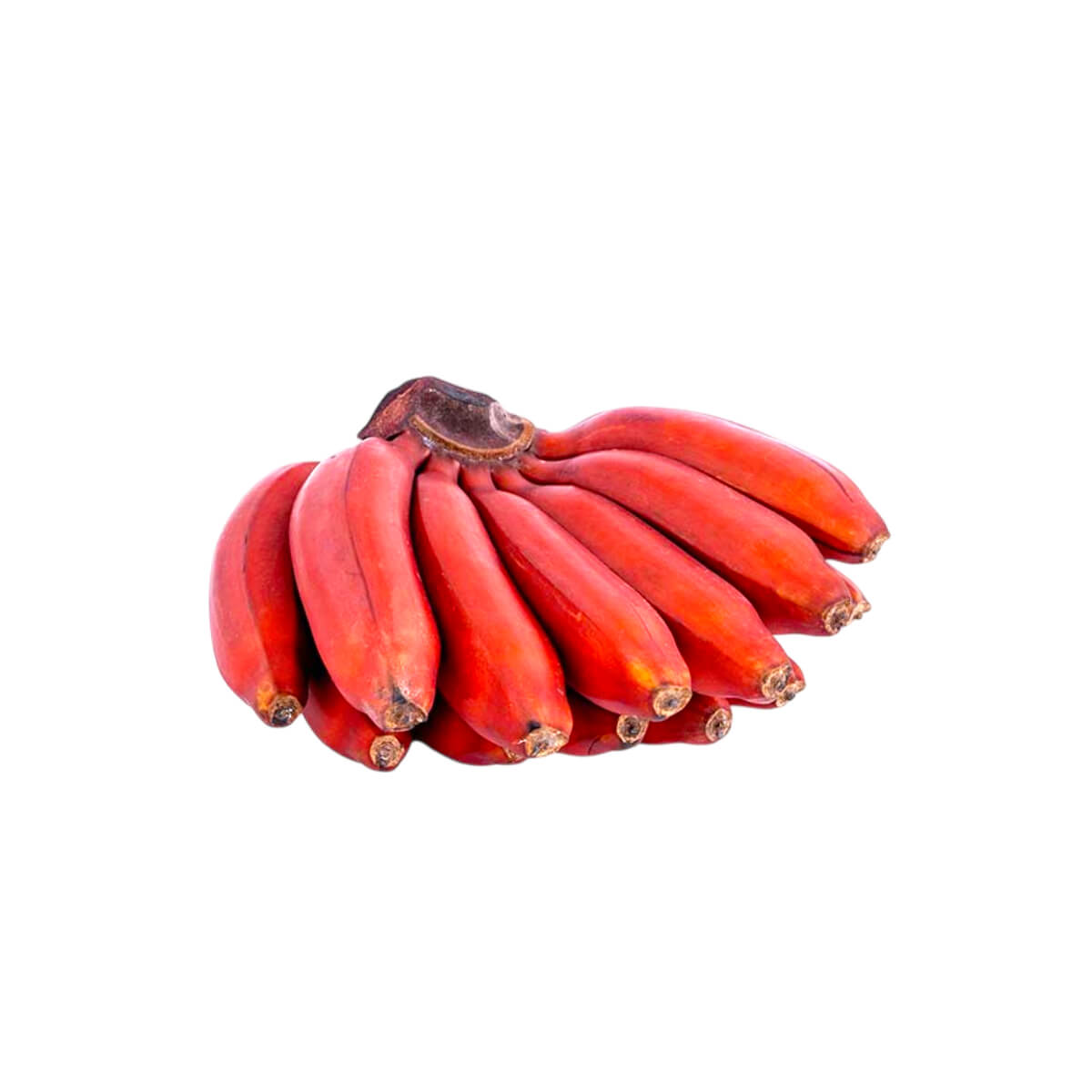 Sebastiano Red Baby Banana Ecuador 1 Kg