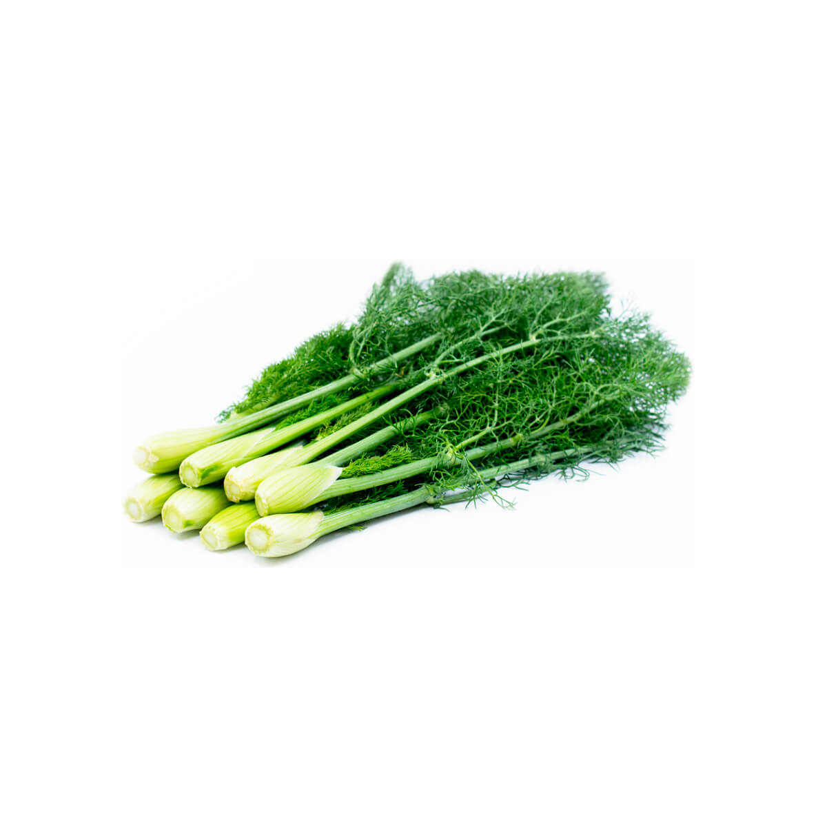 Fennel Lebanon 500g