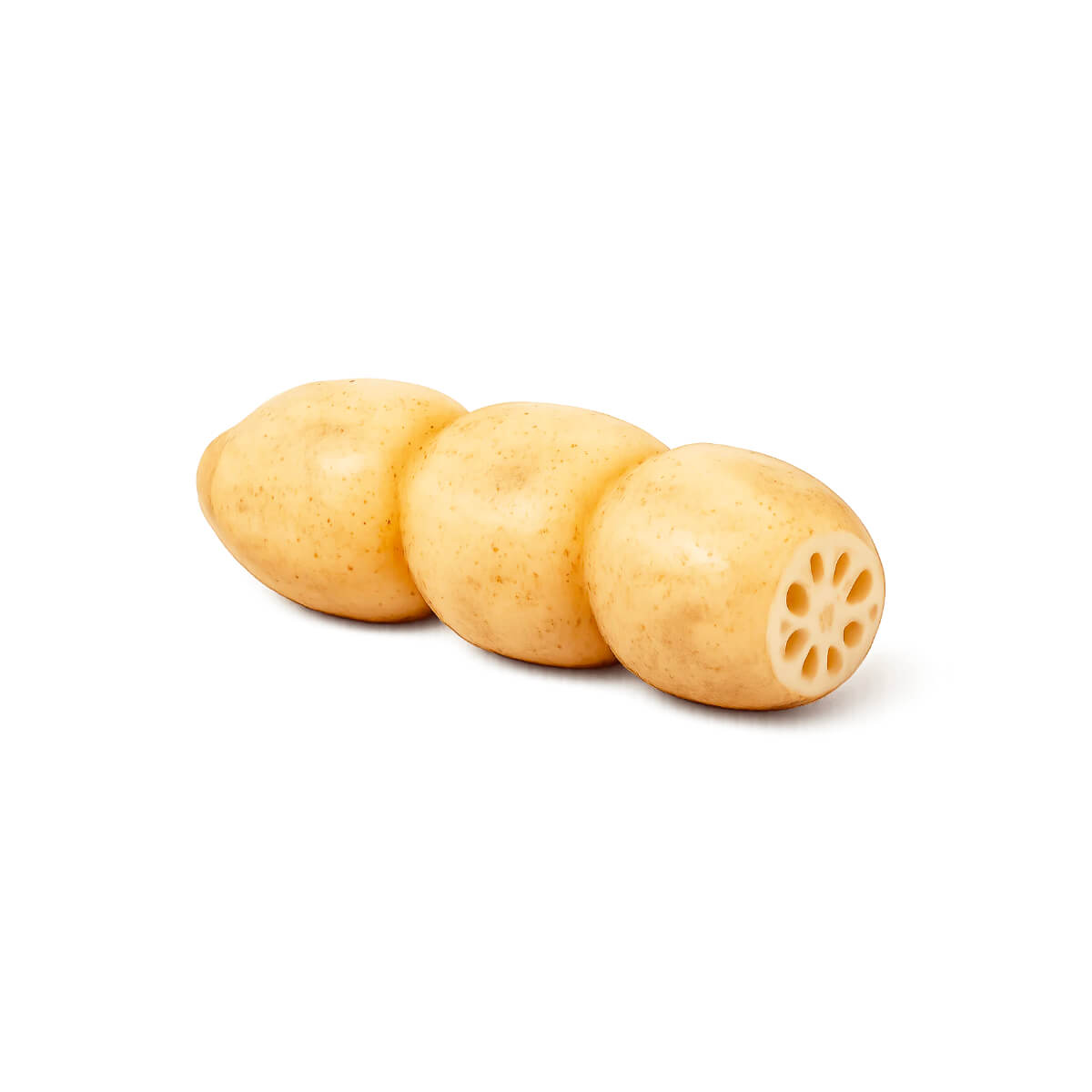 Fresh Lotus Root China 700g-1200g Piece