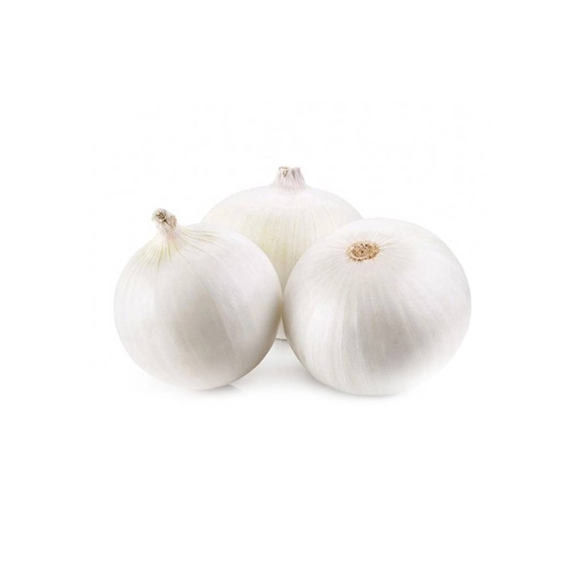 Onion White Jordan 500g