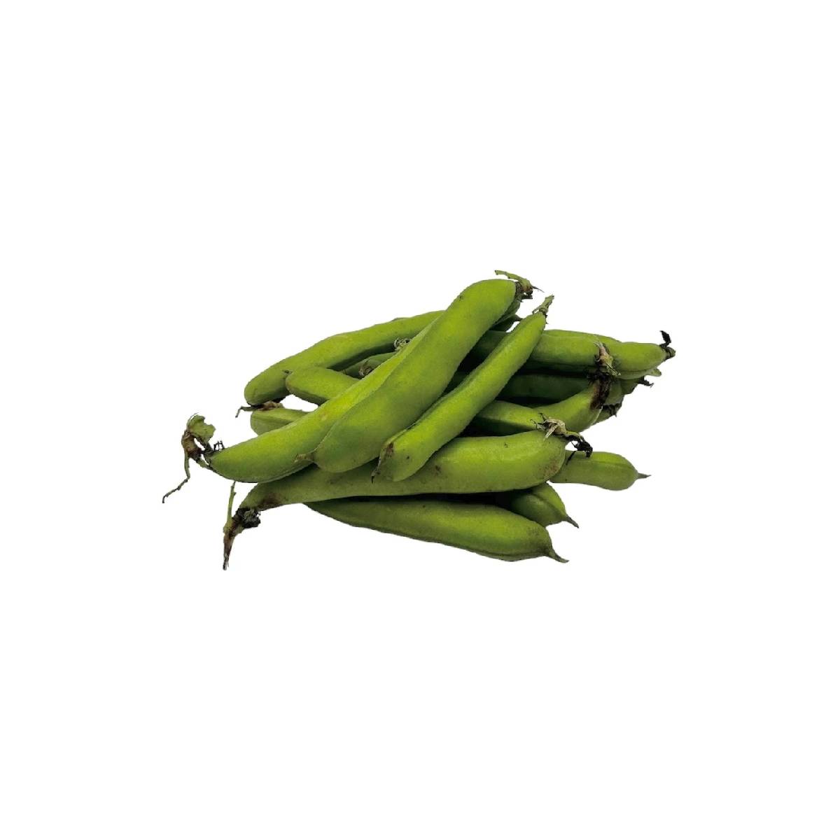 Broad Beans Syria 500g Packet