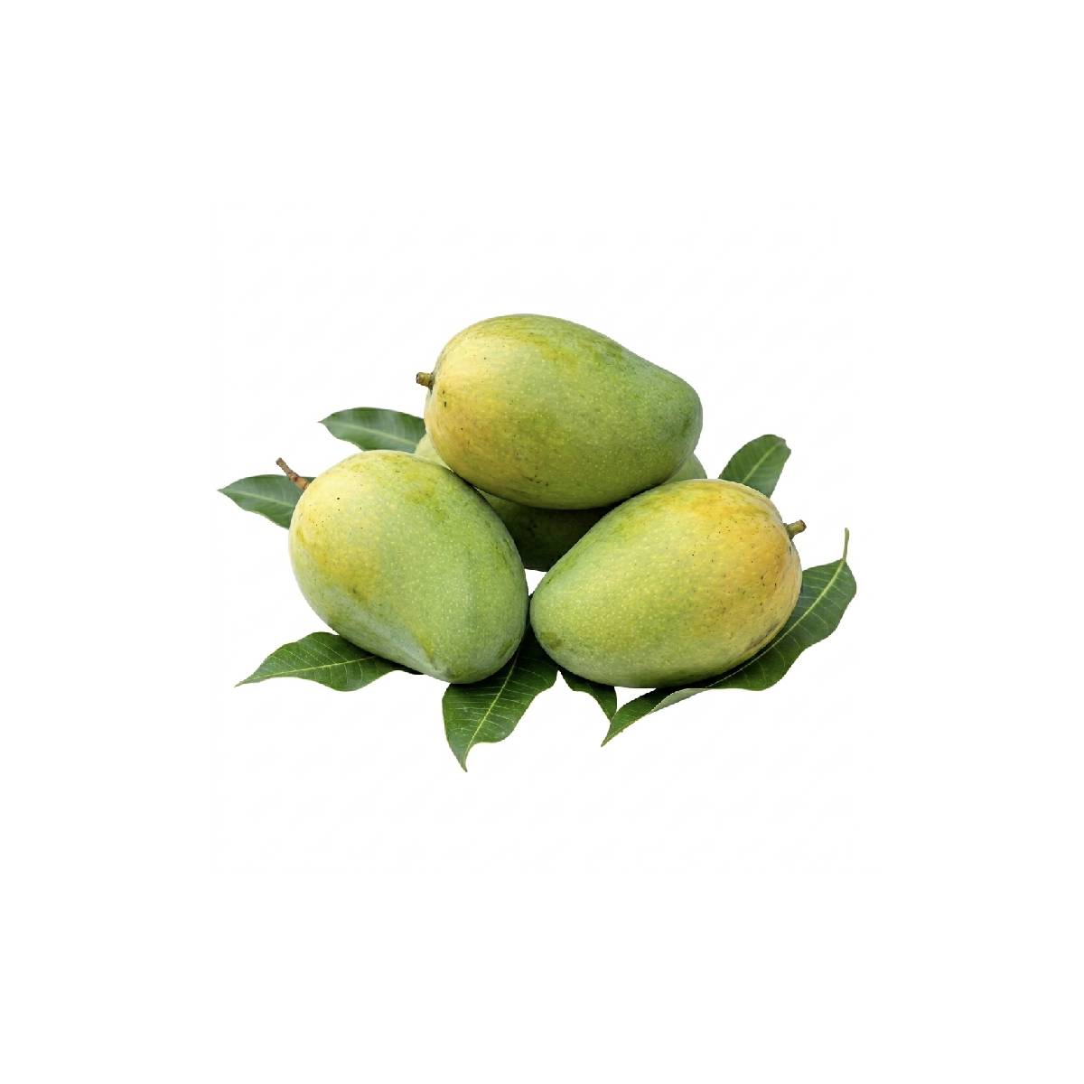Mango Imam Pasand India 500g