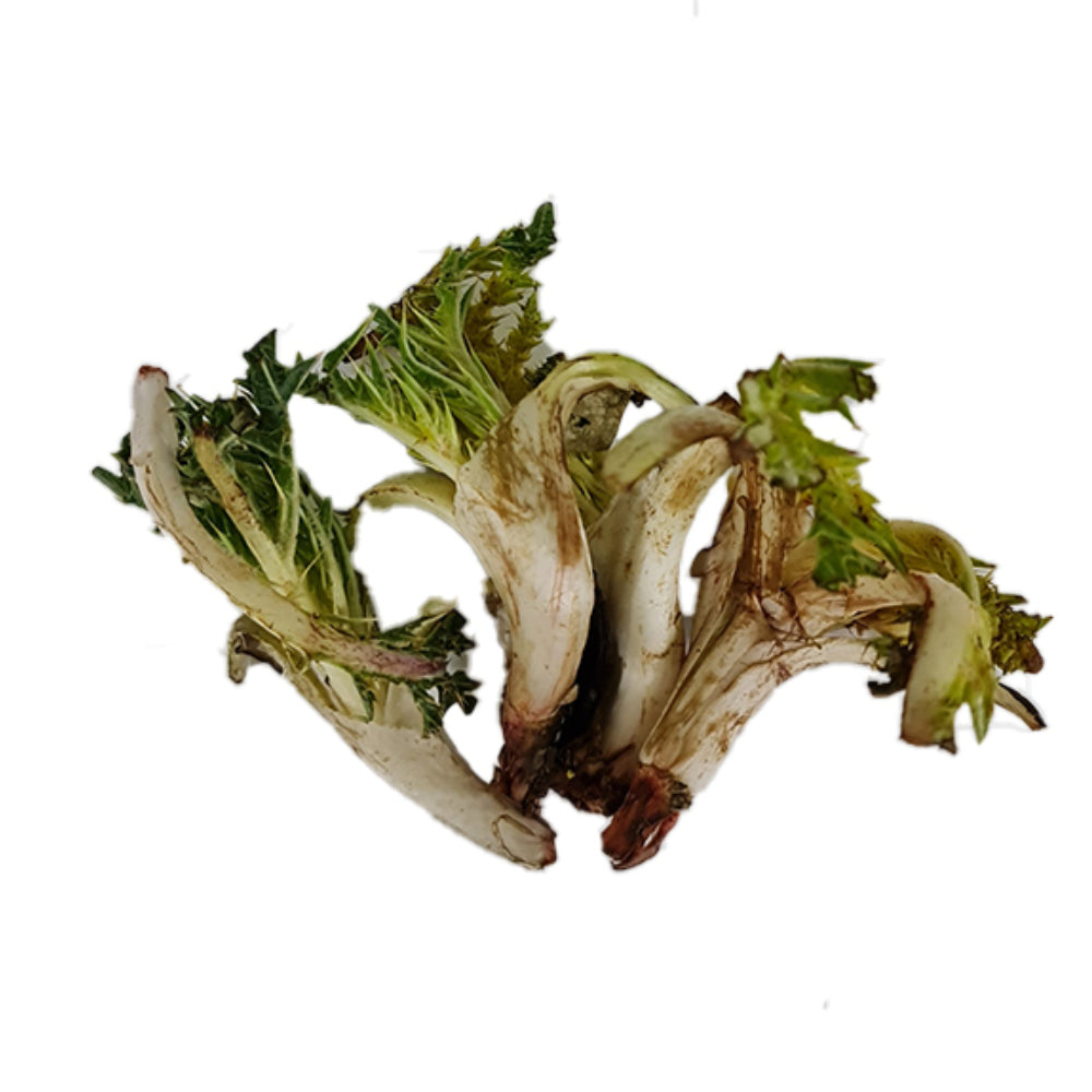 Gundelia (Akkoub) Lebanon 500g
