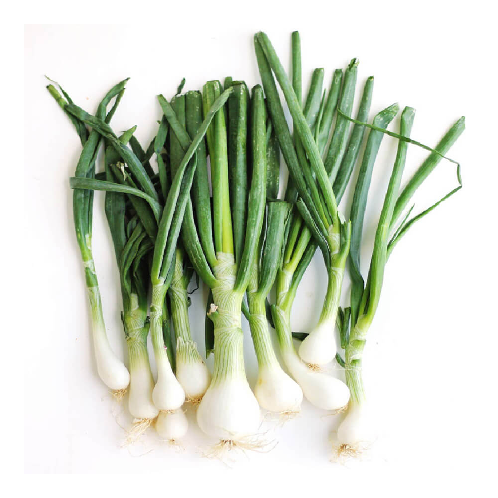Spring Onion Lebanon 500g