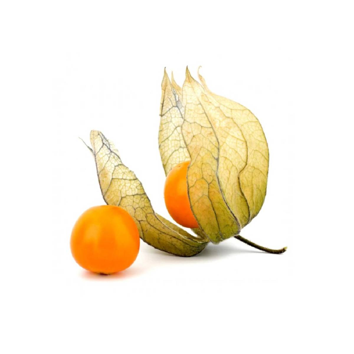 Physalis Colombia 100g Pack