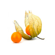 Physalis Colombia 100g Pack
