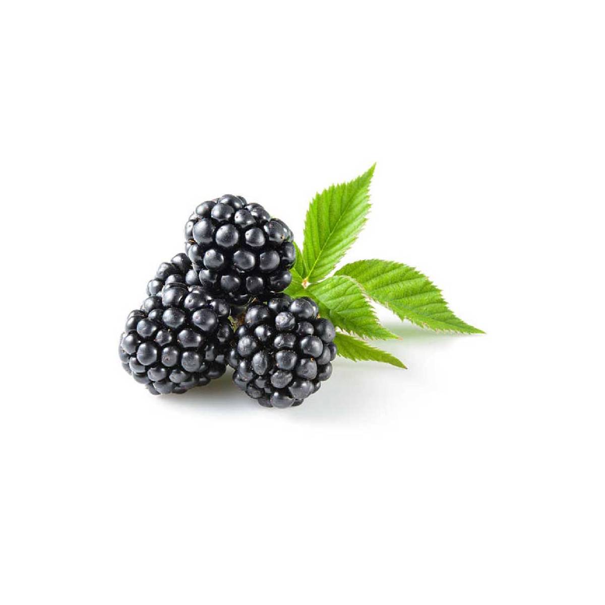 Driscoll's Blackberry Portugal 125g Pack