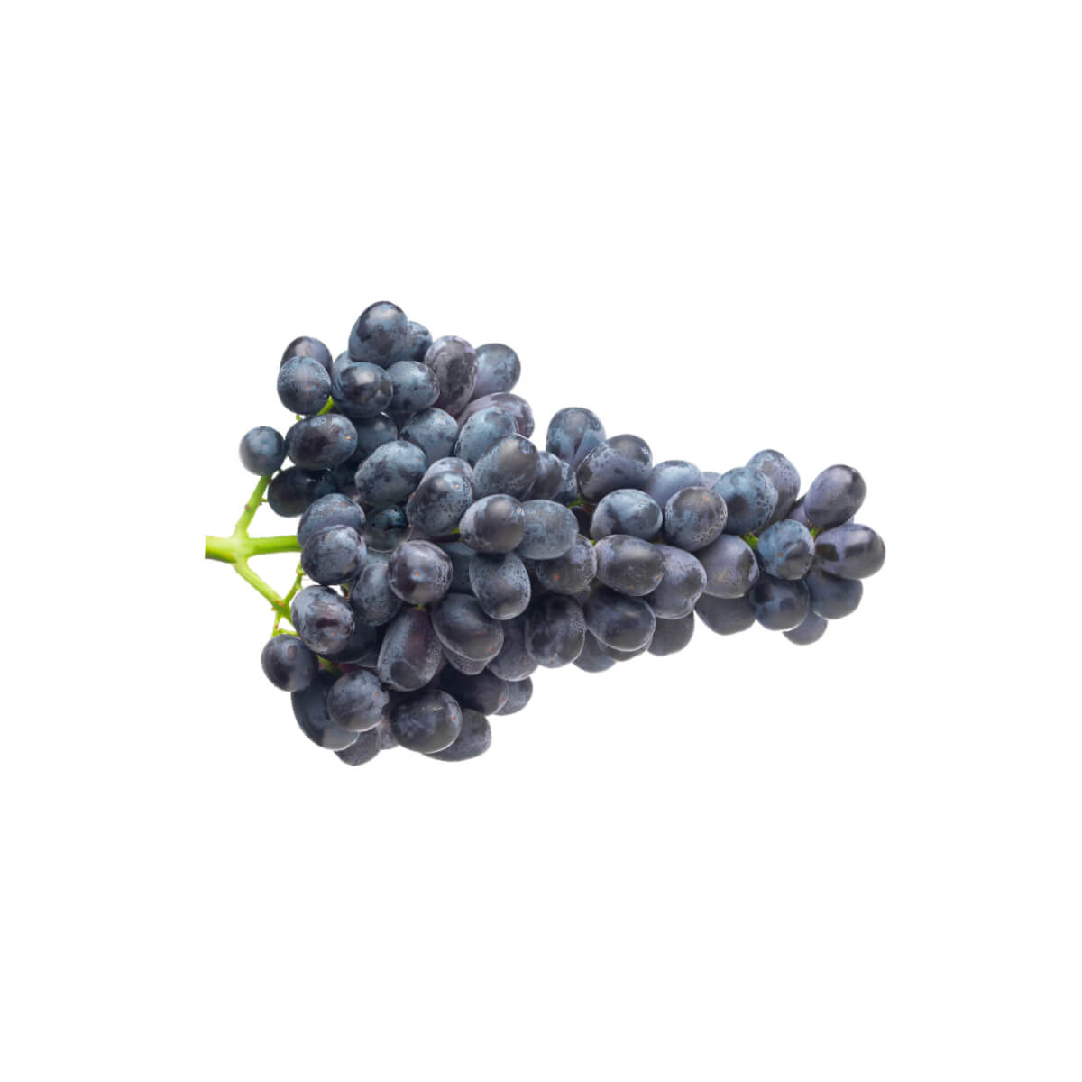 Grapes Midnight Black Seedless USA 500gm
