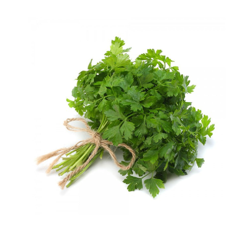 Coriander Lebanon 250g