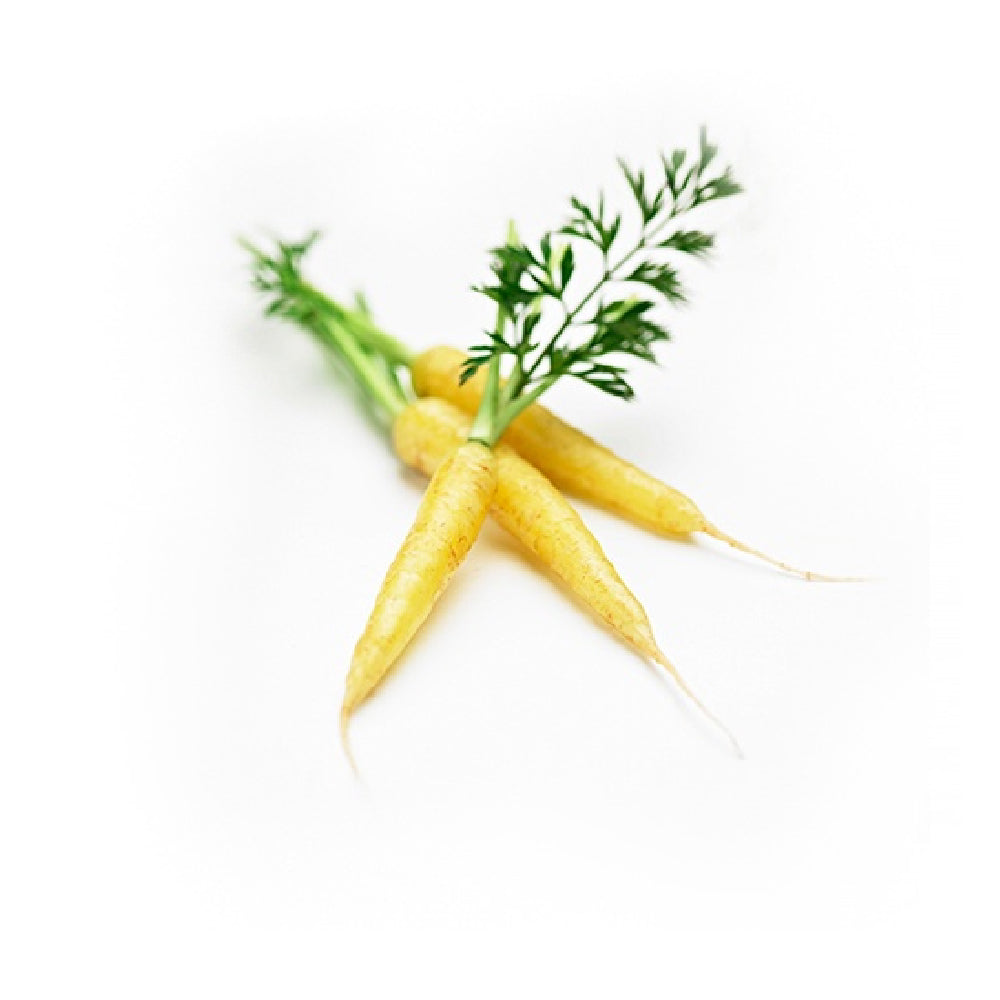 Mini Carrot Top Yellow South Africa 200g Pack