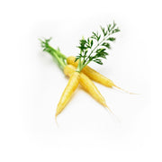 Mini Carrot Top Yellow South Africa 200g Pack
