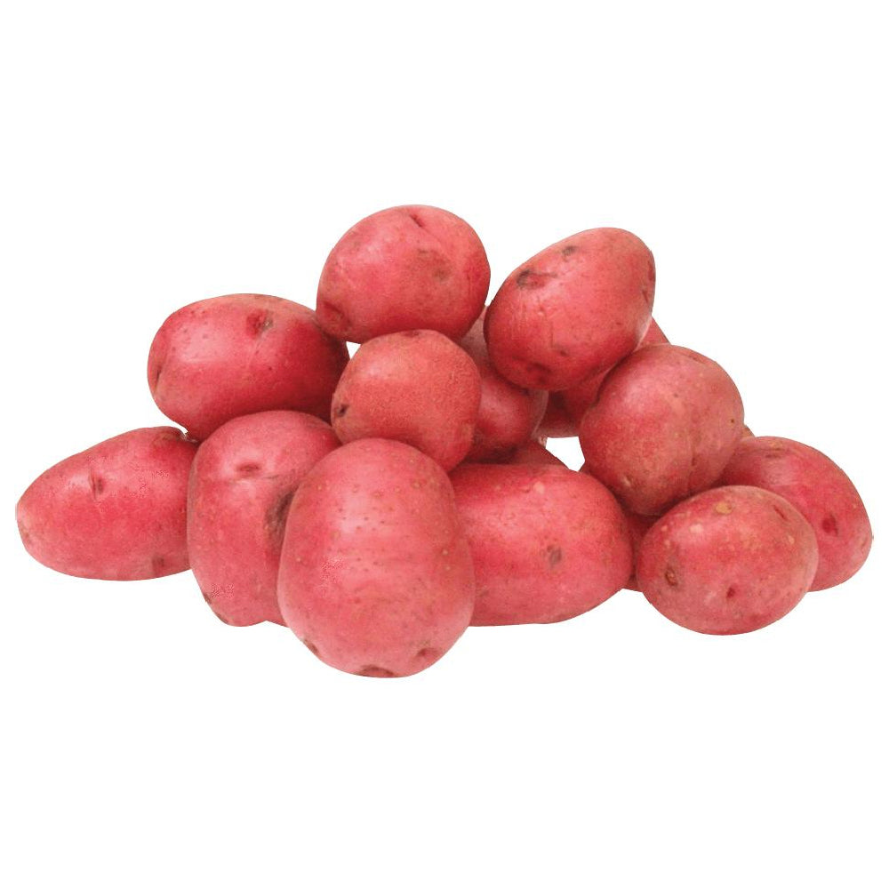 Potato Pioneer Red Usa 1 Kg