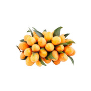 Marian Plums Thailand 500g