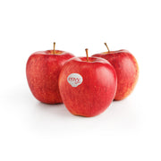 Apple Envy Spain 1 Kg