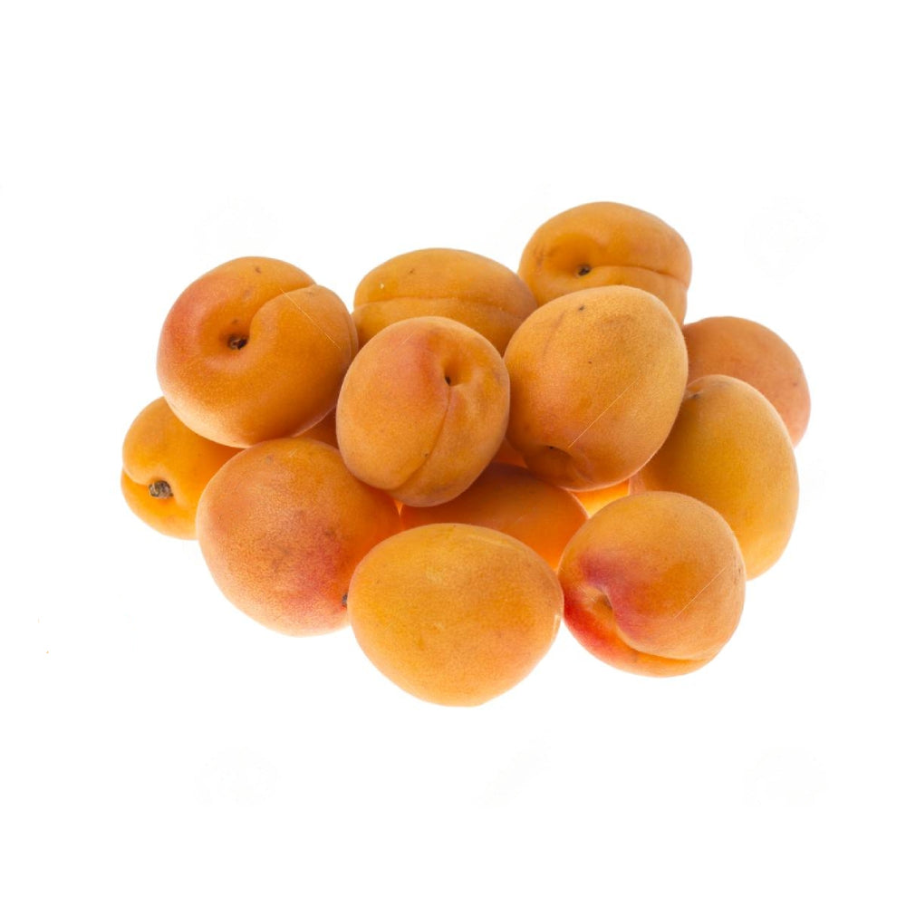 Apricot Morocco 500g
