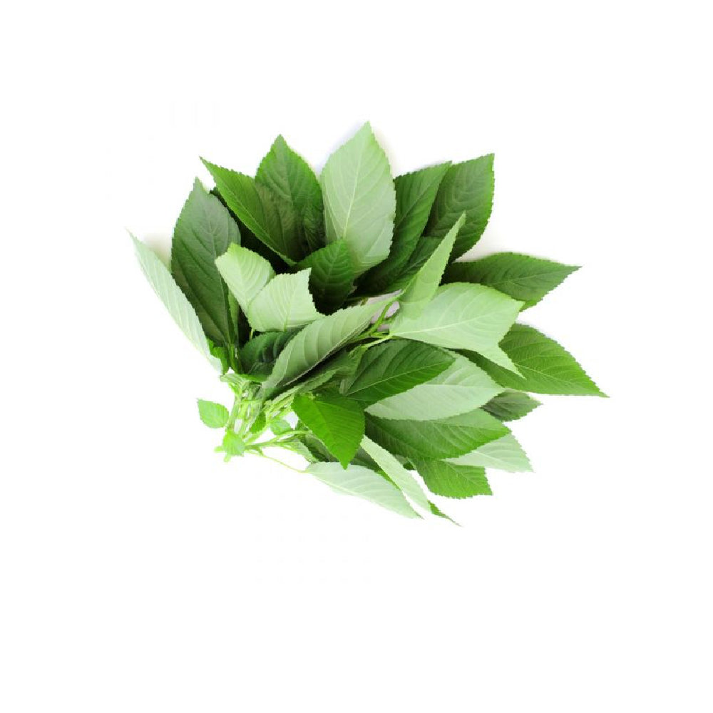 Molokhia Lebanon 400g to 500g Pack
