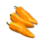Chili Orange Flat Iran 500g
