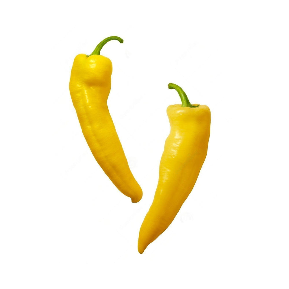 Chili Yellow Flat Iran 500g