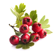 Zaarour Red Lebanon 500g