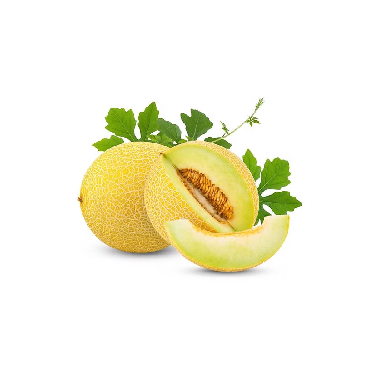 Sweet Melon Lebanon 2-3 Kg Piece