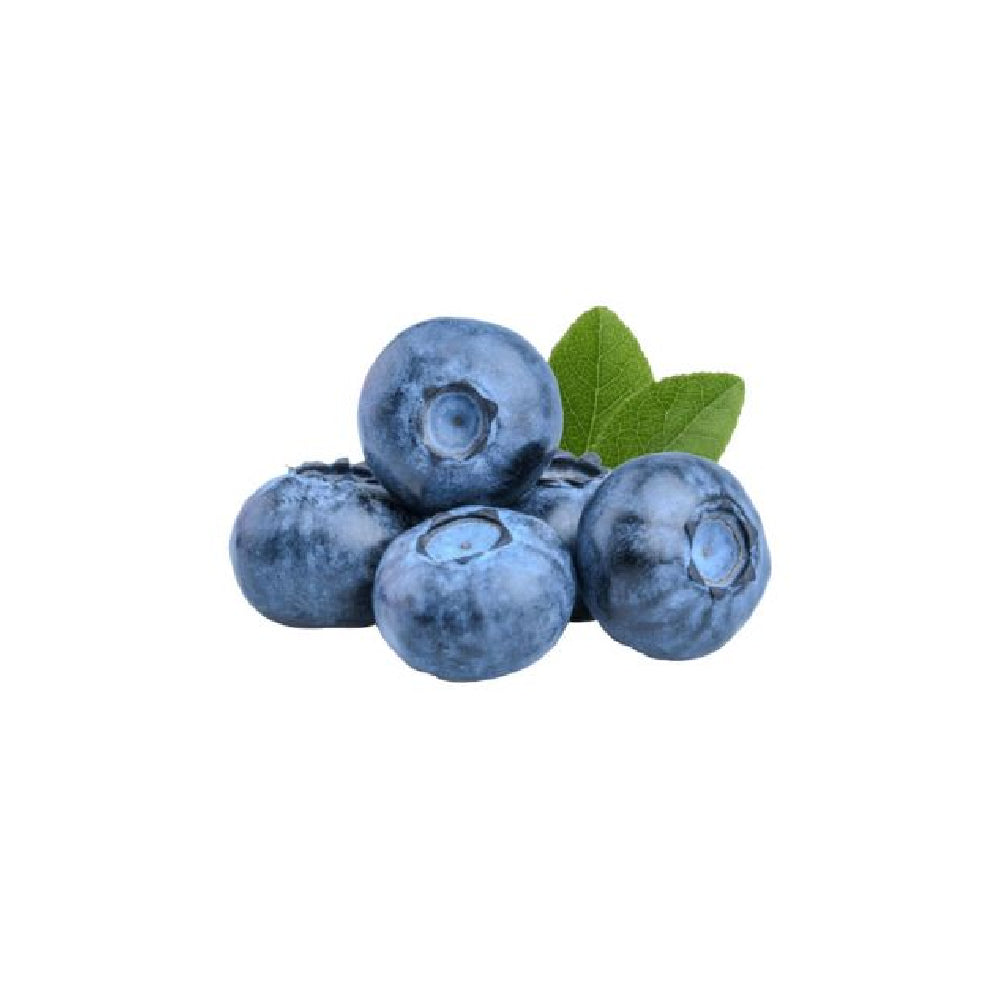Driscoll's Blueberry South Africa 300g Pack