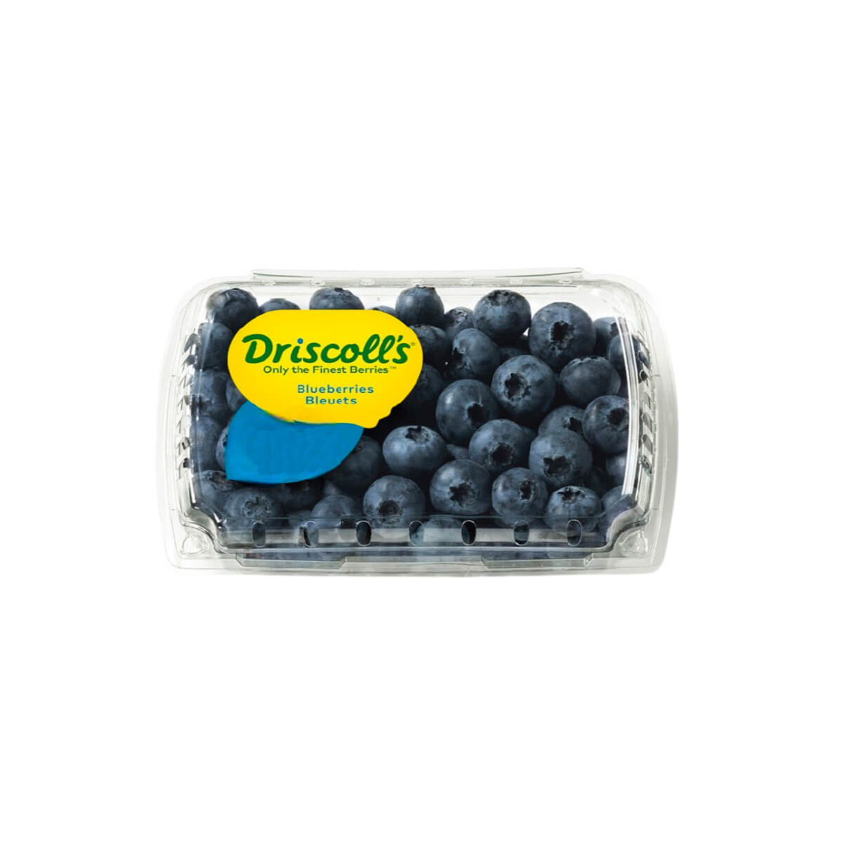 Driscoll's Blueberry South Africa 300g Pack