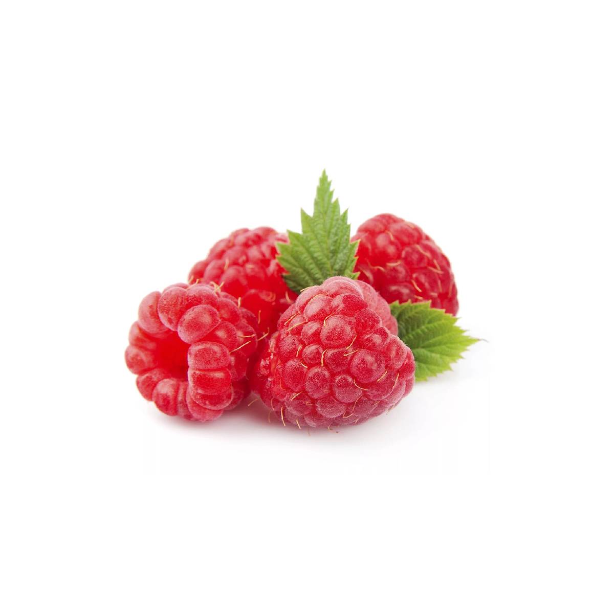 Driscoll's Raspberry Portugal 125g Pack