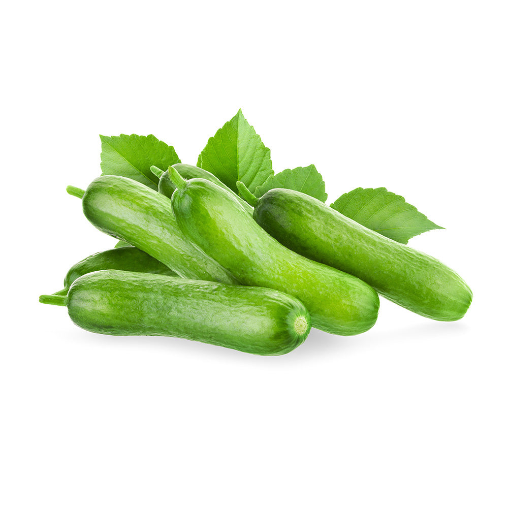 Cucumber Snack Lebanon 500g