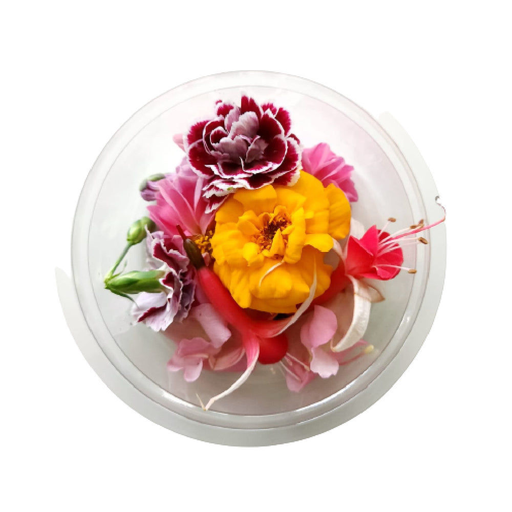 Edible Flower Netherlands 1 Pack