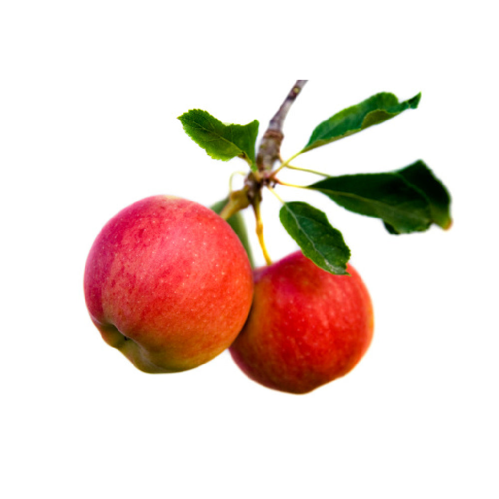 Apple Red Lebanon 500g
