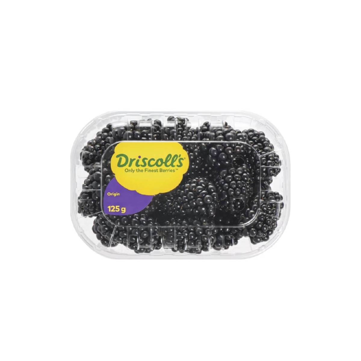 Driscoll's Blackberry Morocco 125g Pack