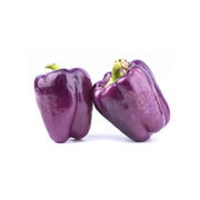 Capsicum Mini Purple Oraganic Uae 1 Pack