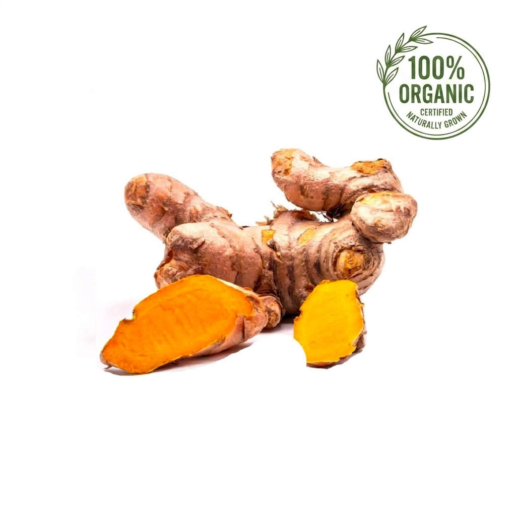 Turmeric Organic India 250g Pack
