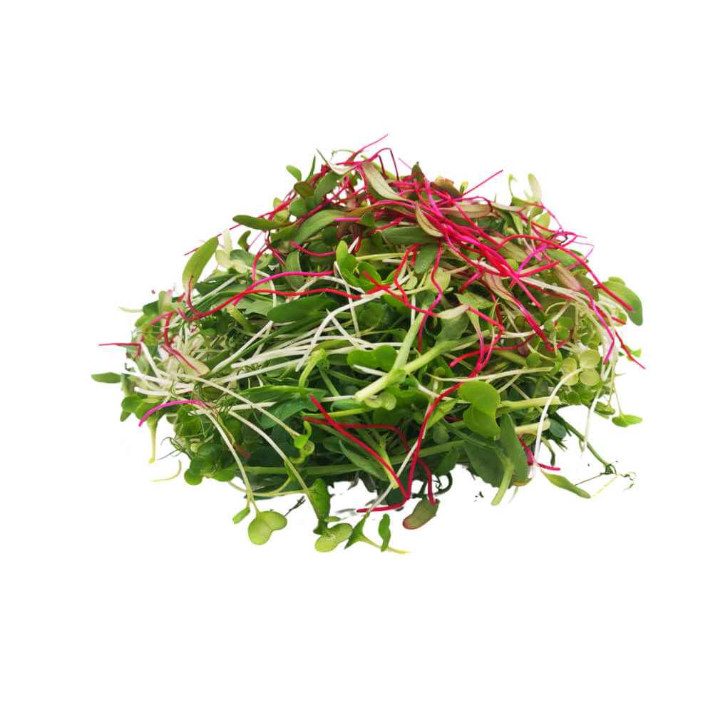 UNS Farm Rainbow Mix Uae 40g Pack
