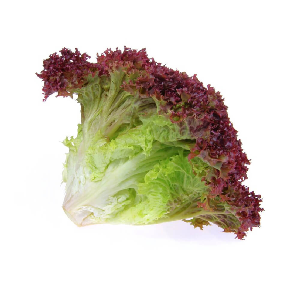 UNS Farm Unsberg Red Lettuce Uae 500g