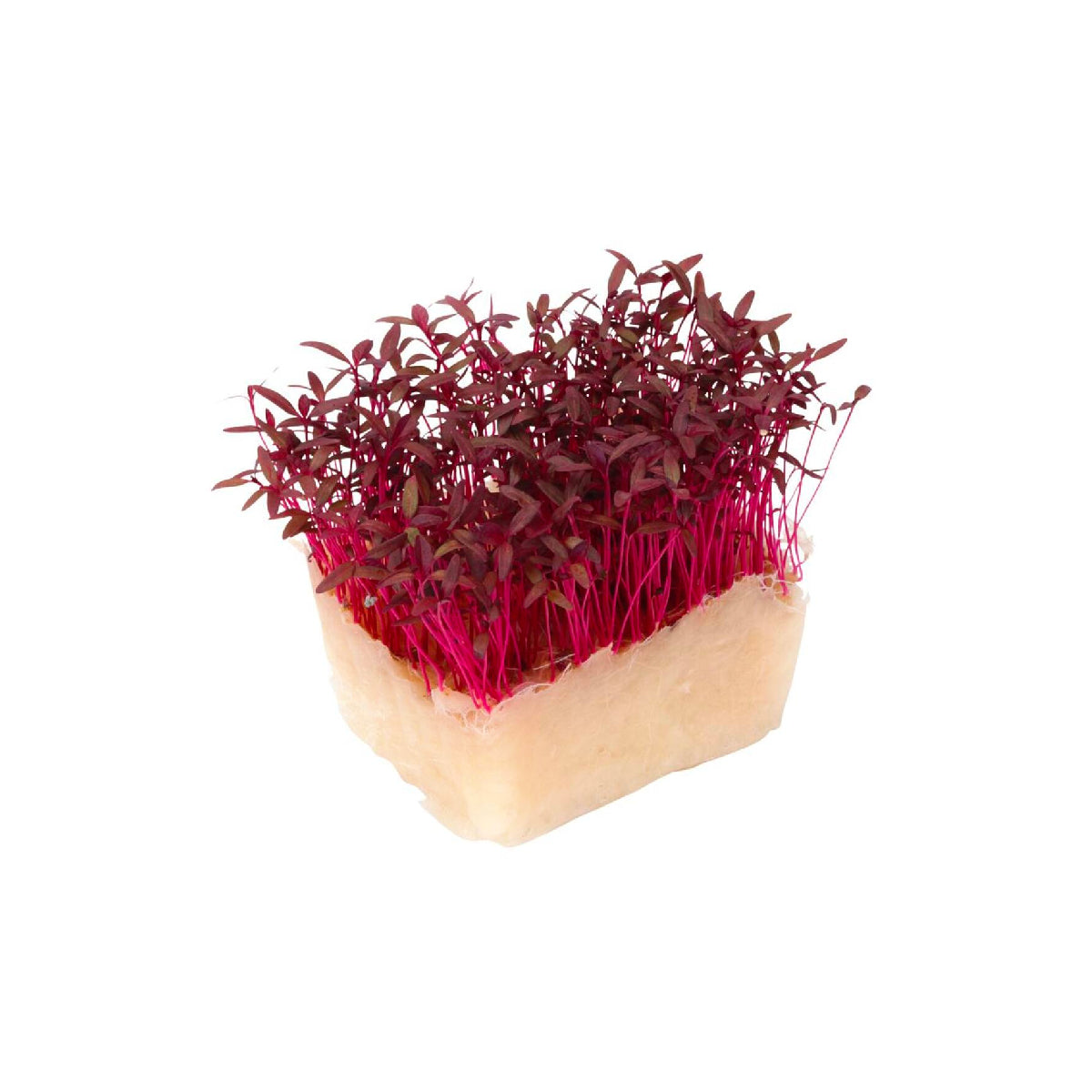 Sakura Cress Microgreen  Mix Uae 1 Piece