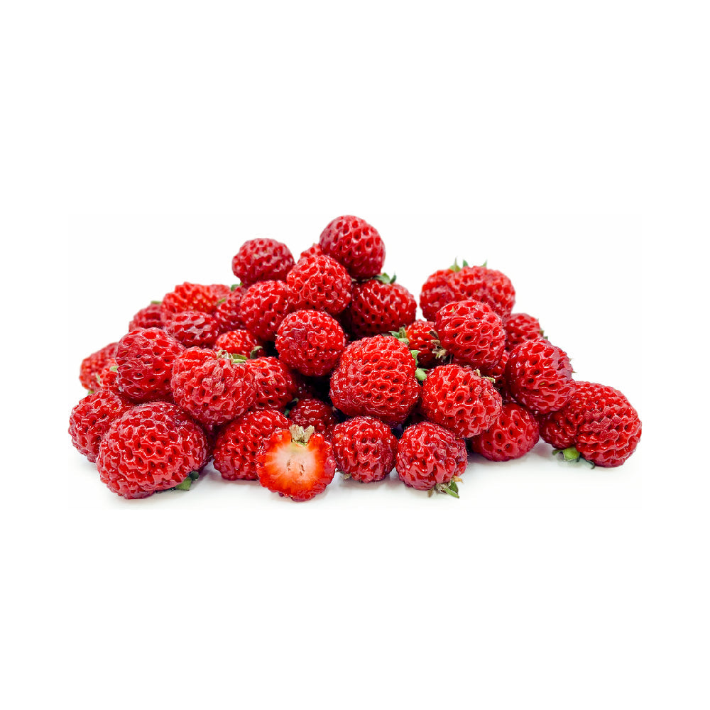 Strass Berry Holland 100g Pack