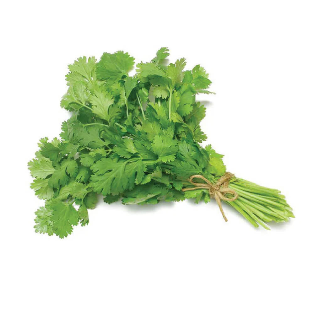 Coriander Leaves Pot Uae 1 Piece