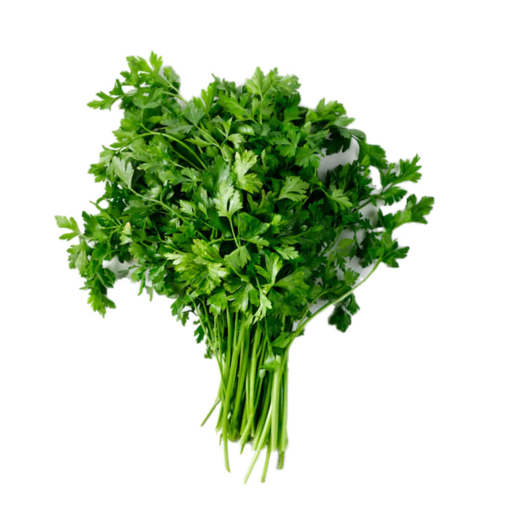 Parsley Leaves Pot Uae 1 Piece
