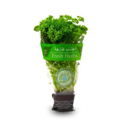 Parsley Leaves Pot Uae 1 Piece