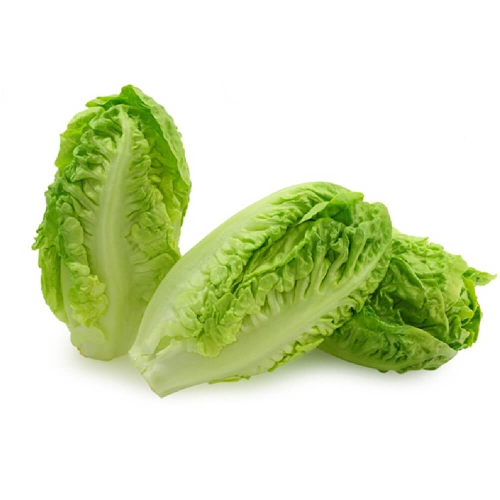 Baby Lettuce Organic Uae 500g