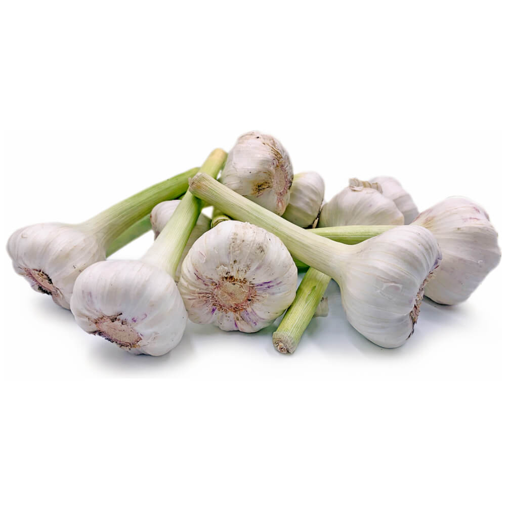 Garlic Egypt 500g